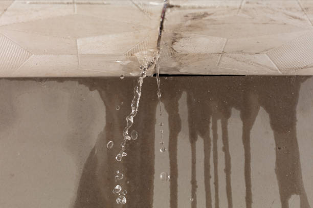 Professional Water Damage Repair technician working in Pell Lake, WI